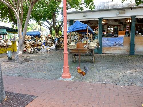 Wastin’ Away Again… From Brooklyn to Key West and the Heartbreak In Between (Part 2)