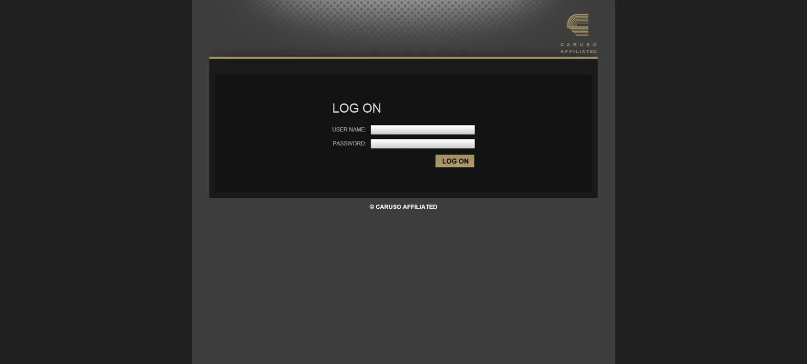 Caruso Affiliated: NetScaler: Citrix NetScaler login page