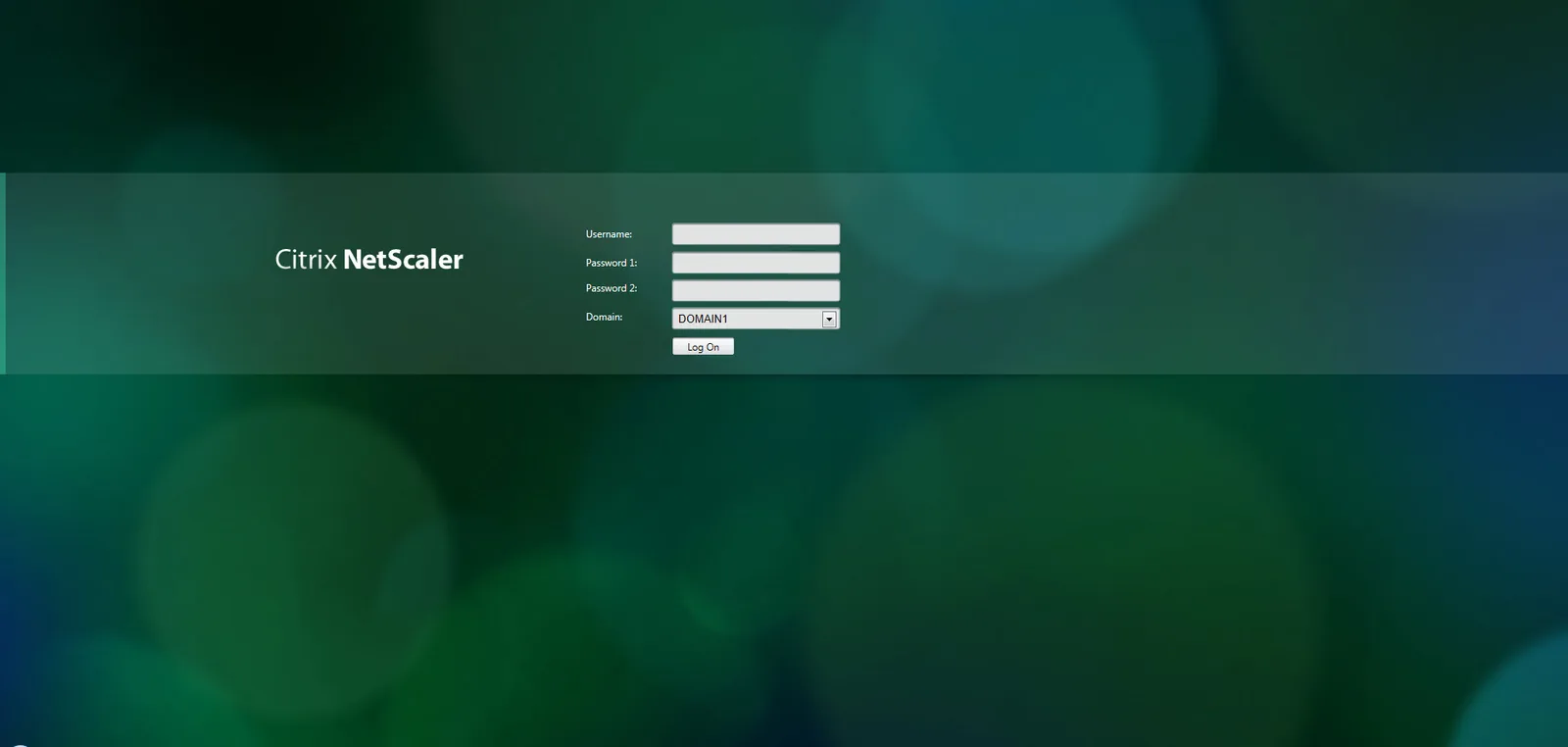 Citrix: NetScaler: Citrix NetScaler login page