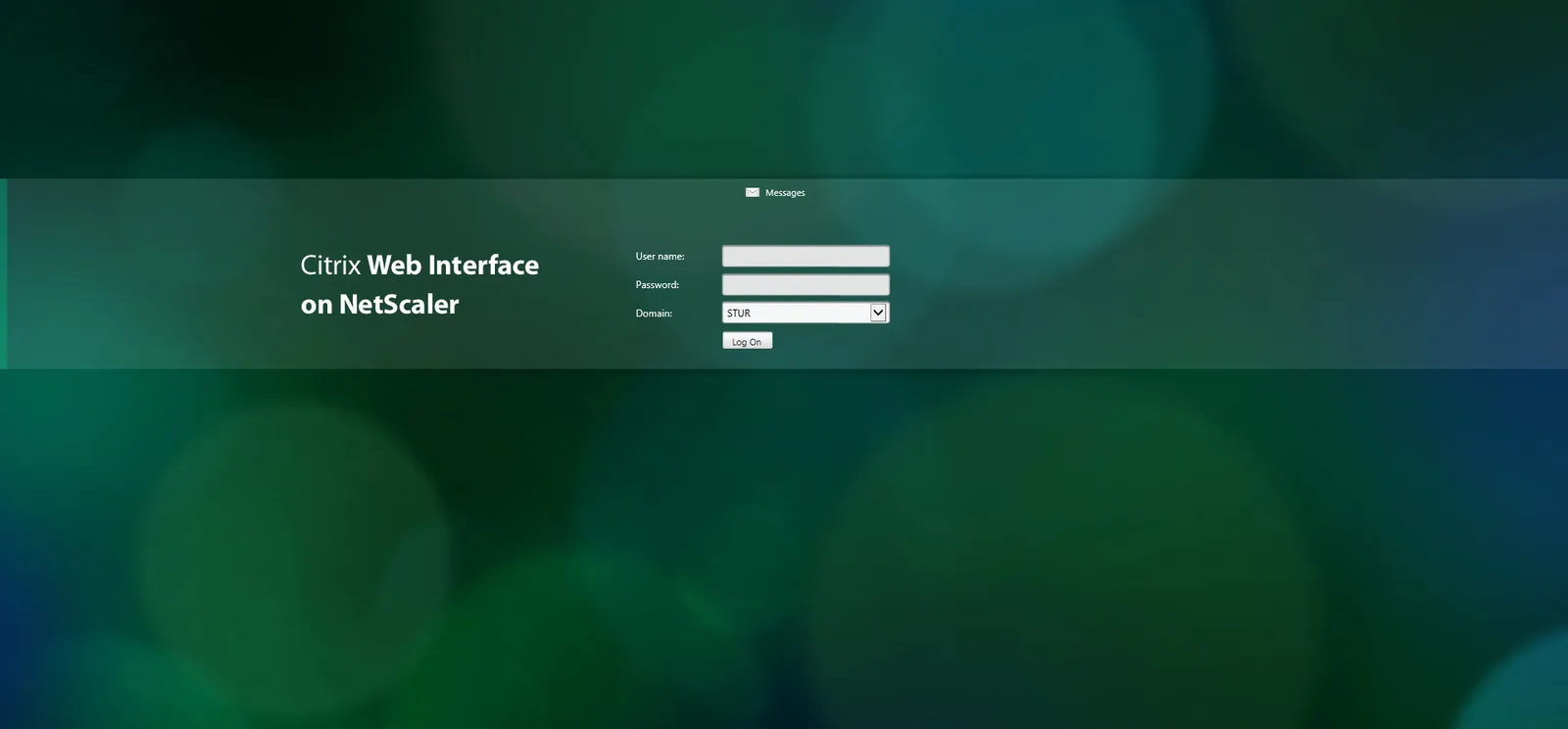 Citrix: Web Interface: Citrix Web Interface screenshot 3