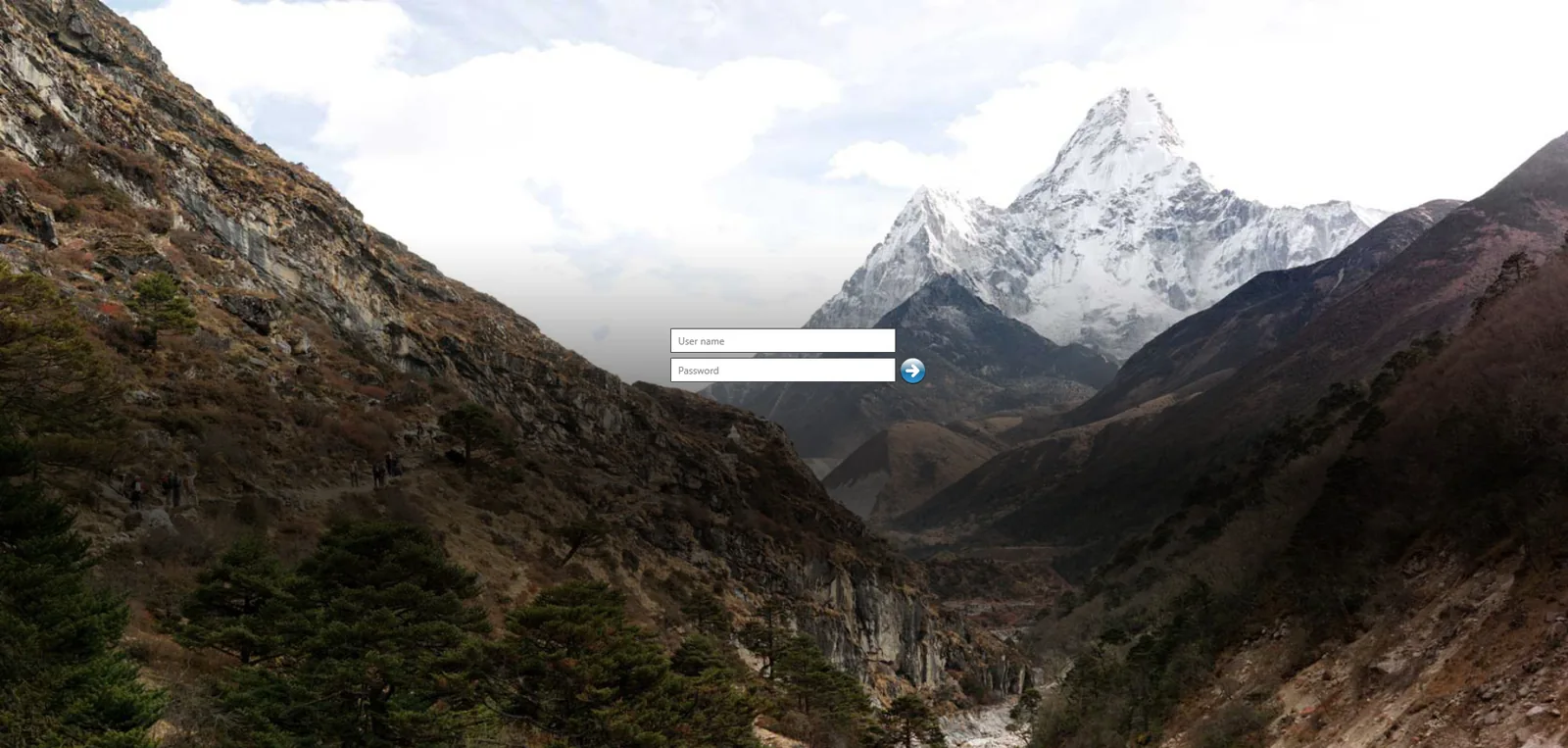 Invesco: StoreFront: Citrix StoreFront login page